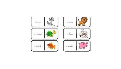 11 idées de Animals | apprendre l'anglais, vocabulaire anglais, cours