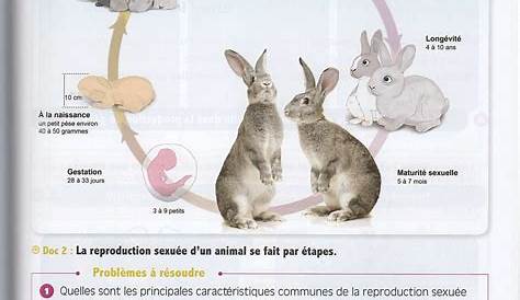 Aperçu du fichier cm148_fiches_animaux.pdf Montessori Activities