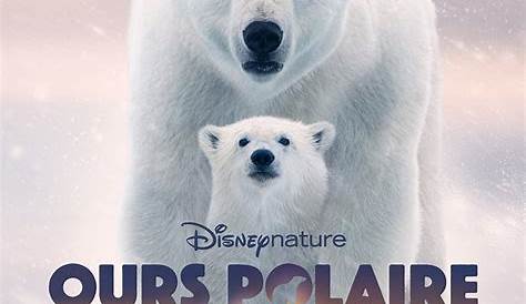 Ours Polaire - film 2022 - AlloCiné
