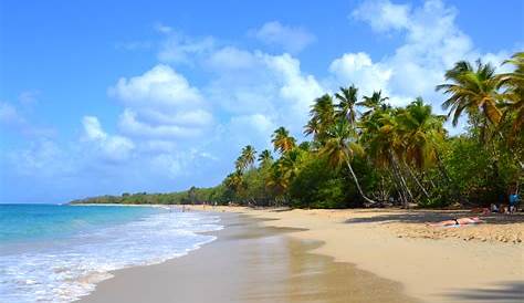 Plage de l’Anse Figuier • Lieux à visiter - Tourisme • Belle Martinique