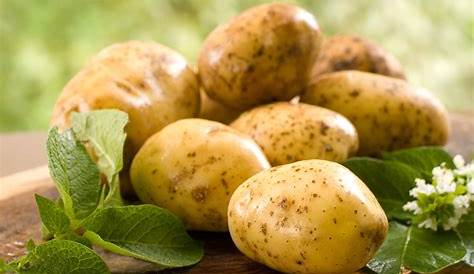 Comment bien conserver les pommes de terre?