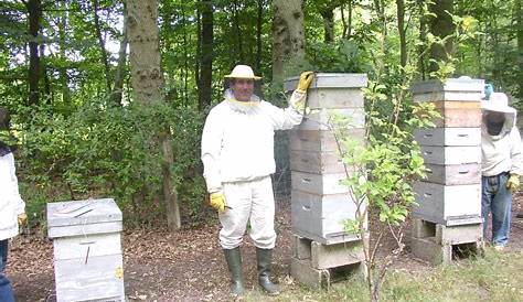 Les ruchers de Claude en Ardèche, Rucher d'expérimentations. L