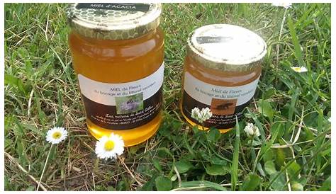 Les ruchers de Saint Gilles - Apiculteur vente de miel propolis Vendée