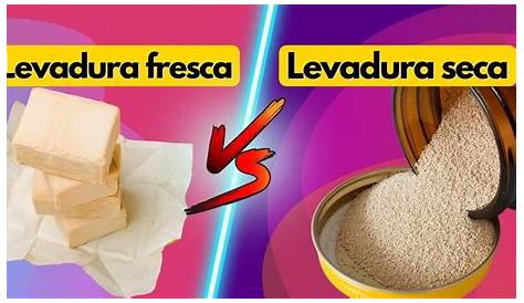 LEVADURA SECA vs LEVADURA FRESCA - YouTube