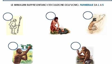 PREISTORIA VERIFICA L'EVOLUZIONE DELL'UOMO Pagina 1 | Storia, Storia