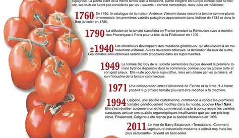 La tomate, un livre pour tout savoir sur la star des potagers, aux