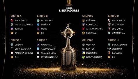 Libertadores: Conmebol divulga tabela atualizada da competição | F5