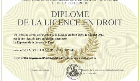 Bi Licence Droit Histoire De Lart - Nouvelles Histoire