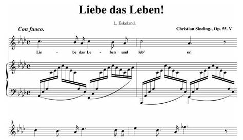 Alte Melodien mit neuen Texten | buy now in the Stretta sheet music shop.