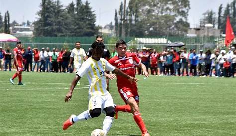 Liga Regional de futbol de Santa María Tlalmimilolpan se consolida - El