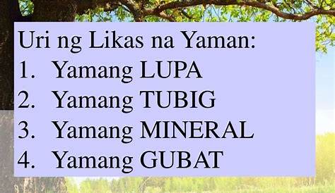 Likas Na Yaman Ng Bansa Yamang Lupa - bansatado