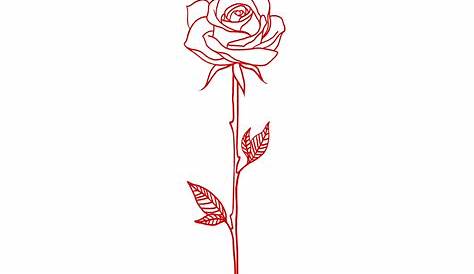 Line Drawing Simple Rose Tattoo At Gets Free Download