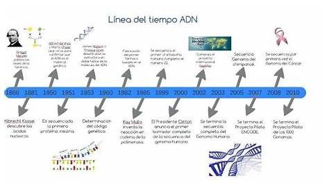 LINEA DEL TIEMPO DEL ADN - Coggle Diagram