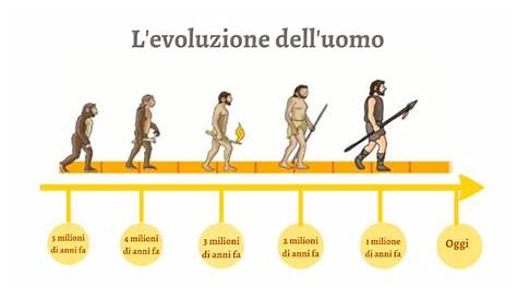 PIÙ FACILE. Le tappe dell’evoluzione della vita