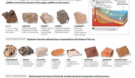 Classification des roches sédimentaires - Significations.fr