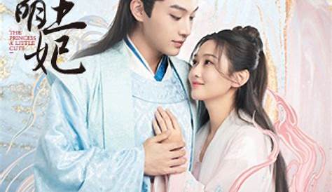 Chinese Netizens Infatuated With Sohu's 'My Little Princess' Hit TV