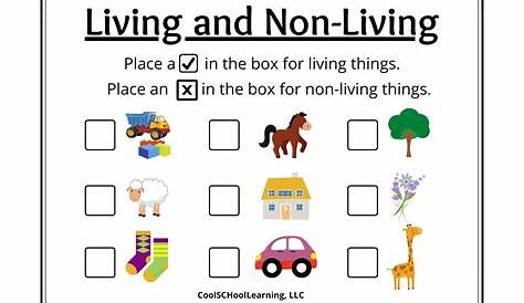 Living And Nonliving Kindergarten