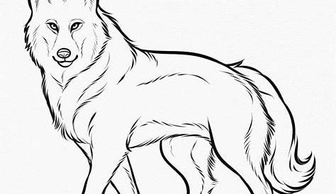 Desenhos de Lobo para colorir - Páginas para impressão grátis