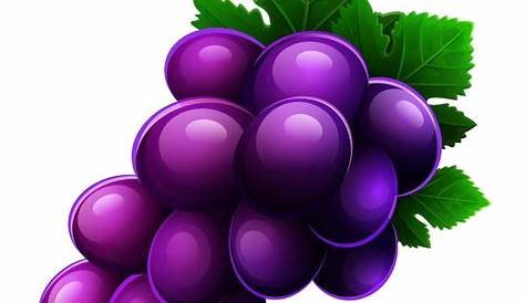 Logo de uva | Vector Premium