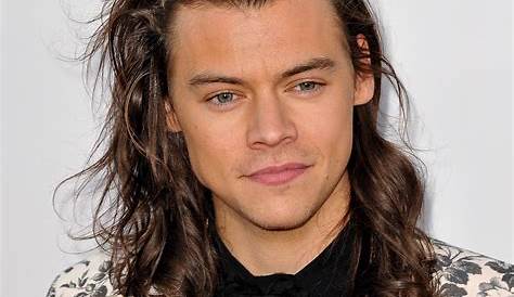 Long Haired Harry Styles Hair Hair