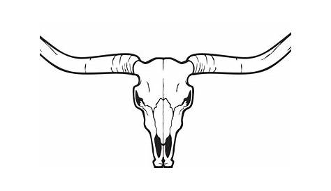 Hand-drawn bull skull stock illustration. Illustration of line