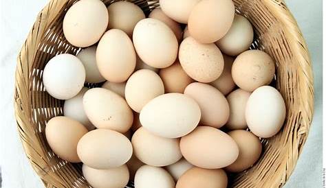 Importancia, Cuidado y Manejo de los Huevos en Granjas