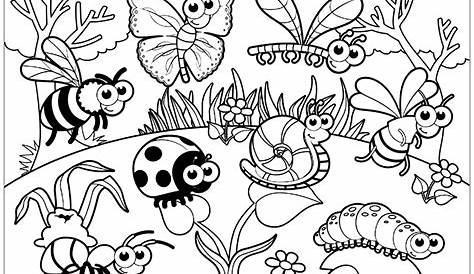 Insectos: dibujo para colorear e imprimir | Imagenes de insectos