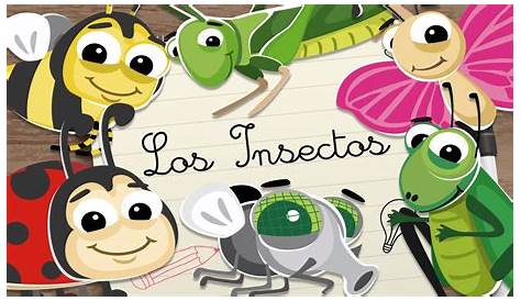 Fichas de animales para niños: Fichas de los insectos.