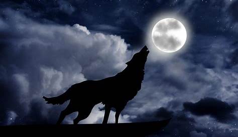 Moonlight moon WOLF JOURNEY | Wolf painting, Wolf moon, Wolf howling