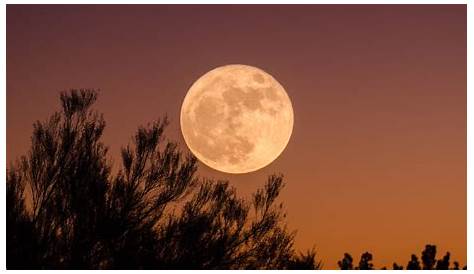Cuando Es Luna Llena, El Calendario Lunar De 2021 La Luna Llena De