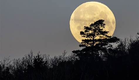 Luna llena 16 de marzo de 2014 – Captando el Cosmos