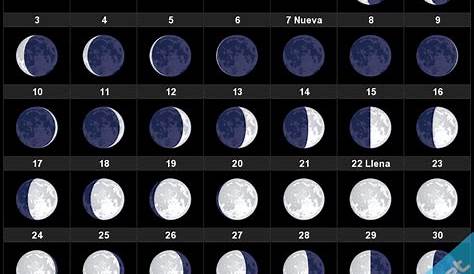 Calendario lunar de diciembre 2019 | Calendario lunar, Calendario, Lunares
