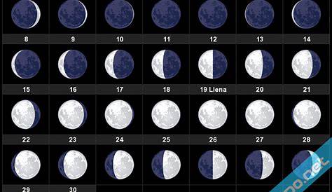 Calendario Lunar Noviembre de 2021 (Hemisferio Sur) - Fases Lunares