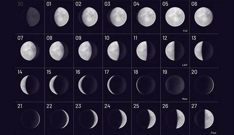 Mai 2023 Lunaire Calendrier Lunaire Cycles Lune Illustration Stock