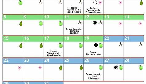Jours fleurs 2023 🌷 : dates et calendrier lunaire 2023 pour le jardin