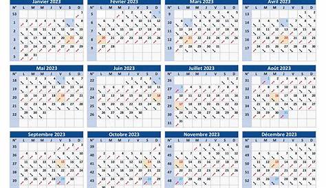 Jours racines 2023 🌱 : dates et calendrier lunaire 2023 pour le jardin
