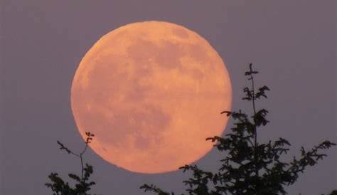 La Lune du Jour 12 janvier 2014 - The Moon (36) | Mon compte… | serguei