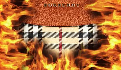 Luxury Brands Burning Clothes