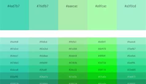 Jenis Jenis Warna Hijau Botol Color Hunt - IMAGESEE