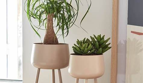 Decorative Pots For Interiors