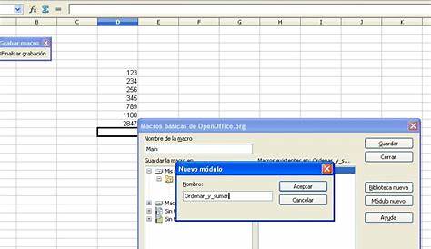 ¿Qué son y cómo crear macros en Excel?