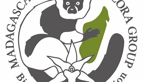 Madagascar Fauna and Flora Group - Lemur Conservation Network