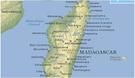 Madagascar . Прохождение Madagascar. Секреты Madagascar. — Square Faction