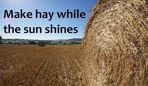 Idiom of the day 'Make hay while the sun shines' YouTube