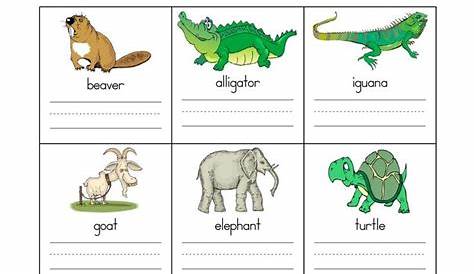 Mammal Activities For Kindergarten