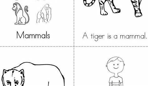 Mammals Kindergarten