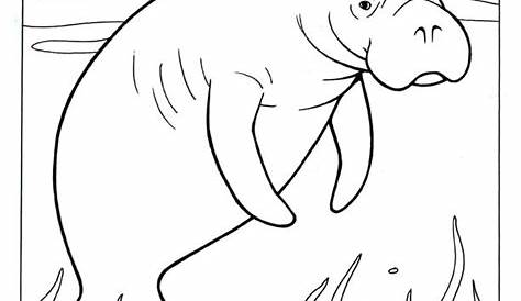 Mammals Manatee Coloring Pages