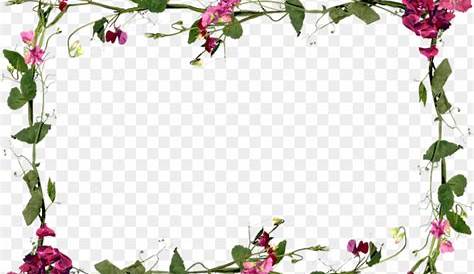 Flower Frame PNG Images Transparent Free Download | PNGMart