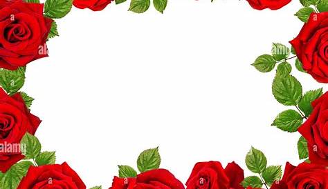 Fondo de marco con rosas rojas y blancas. Ilustración de vector