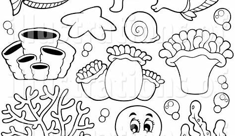 Collection of Sea Life PNG Black And White. | PlusPNG